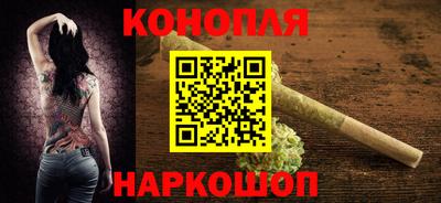 крисы Кунгур