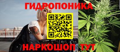 крисы Кунгур