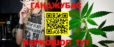 крисы Кунгур