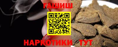 крисы Кунгур