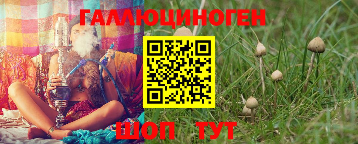 Псилоцибиновые грибы Psilocybine cubensis  Вход с VPN  Коркино 
