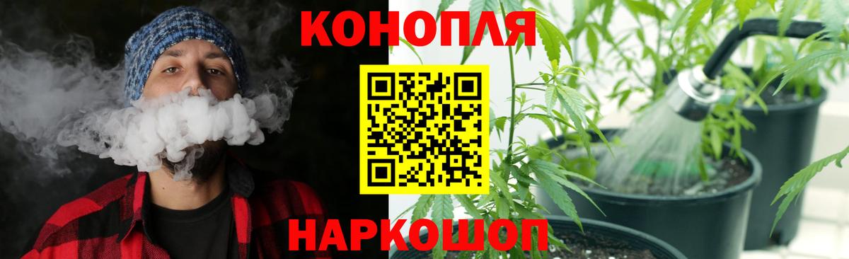 Бошки Шишки гибрид Коркино